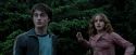 PdA-Potterish_7271.jpg