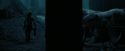 PdA-Potterish_7350.jpg