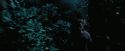 PdA-Potterish_7545.jpg