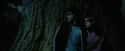 PdA-Potterish_7581.jpg