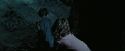 PdA-Potterish_7592.jpg