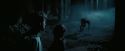 PdA-Potterish_7602.jpg
