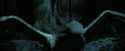 PdA-Potterish_7617.jpg