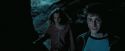 PdA-Potterish_7675.jpg