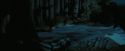 PdA-Potterish_7681.jpg
