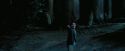 PdA-Potterish_7705.jpg