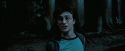 PdA-Potterish_7762.jpg