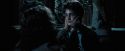 PdA-Potterish_7875.jpg