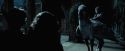 PdA-Potterish_7920.jpg