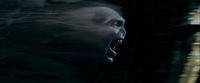 Potterish-RdMPreviaScream-41~0.jpg