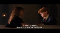 Potterish-RdMRetrospectiva-16.jpg