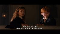 Potterish-RdMRetrospectiva-18.jpg