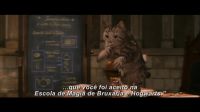 Potterish-RdMRetrospectiva-32.jpg