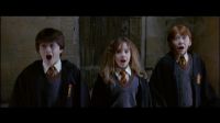 Potterish-RdMRetrospectiva-35.jpg