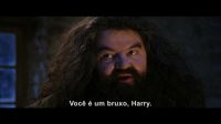 Potterish-RdMRetrospectiva-7.jpg