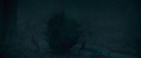 Potterish-RdMTVSpot2-130.jpg