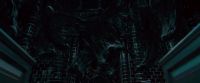 Potterish-RdMTVSpot3-68.jpg