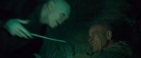 Potterish-RdMTVSpot4-71.jpg