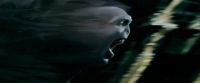Potterish-RdMTVSpot4-84.jpg