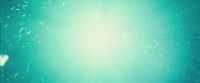 Potterish-RdMTVSpot5-101.jpg