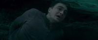Potterish-RdMTVSpot5-108.jpg