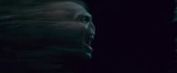 Potterish-RdMTVSpot5-5.jpg