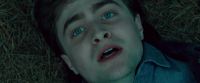 Potterish-RdMTVSpot5-9.jpg