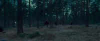 Potterish-RdMTVSpot6-77.jpg