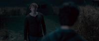 Potterish-RdMTVSpot7-75.jpg