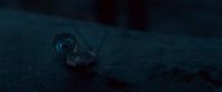 Potterish-RdMTVSpot7-92.jpg