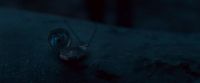 Potterish-RdMTVSpot7-93.jpg
