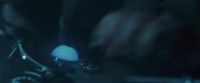 Potterish-RdMTVSpot8-123.jpg