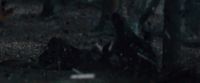 Potterish-RdMTVSpot8-74.jpg