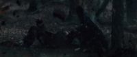 Potterish-RdMTVSpot8-75.jpg