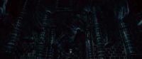 Potterish-RdMTVSpot9-93.jpg