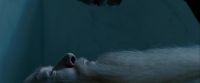 Potterish-RdMTrailerParte1-104.jpg