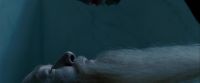 Potterish-RdMTrailerParte1-107.jpg