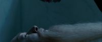 Potterish-RdMTrailerParte1-108.jpg