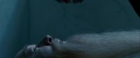 Potterish-RdMTrailerParte1-109.jpg