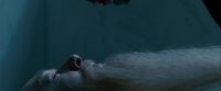 Potterish-RdMTrailerParte1-111.jpg