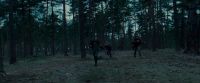 Potterish-RdMTrailerParte1-1133.jpg