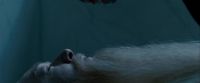 Potterish-RdMTrailerParte1-114.jpg