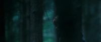 Potterish-RdMTrailerParte1-1142.jpg