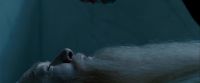 Potterish-RdMTrailerParte1-115.jpg