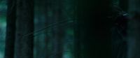 Potterish-RdMTrailerParte1-1150.jpg