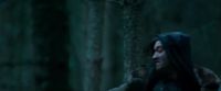 Potterish-RdMTrailerParte1-1162.jpg