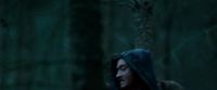 Potterish-RdMTrailerParte1-1164.jpg