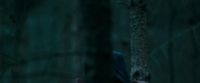 Potterish-RdMTrailerParte1-1165.jpg