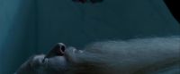 Potterish-RdMTrailerParte1-117.jpg