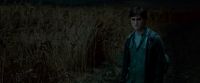 Potterish-RdMTrailerParte1-1171.jpg